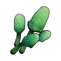 Cavern Mushroom