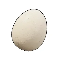 Egg