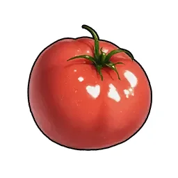 Tomato