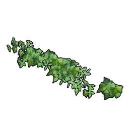 Horizontal Wall Ivy