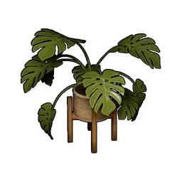 Houseplant